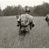 D-Day Normandy